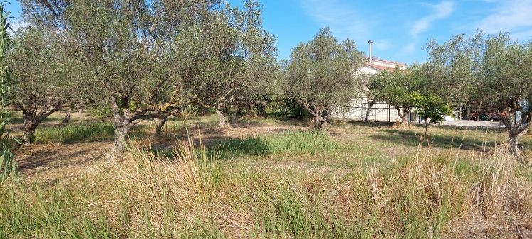 Οικόπεδο 2.800 τ.μ. πρός πώληση, Αιτωλοακαρνανία, Ιερά Πόλη Μεσολογγίου
