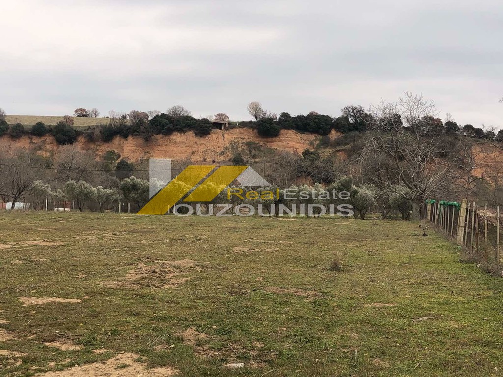 Αγροτεμάχια 4.123 τ.μ. πρός πώληση, Εβρος, Αλεξανδρούπολη