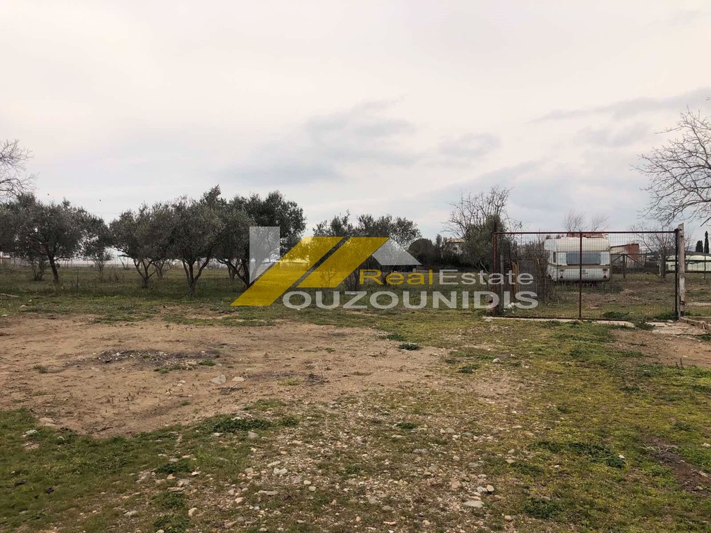 Αγροτεμάχια 4.123 τ.μ. πρός πώληση, Εβρος, Αλεξανδρούπολη
