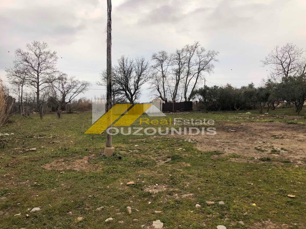 Αγροτεμάχια 4.123 τ.μ. πρός πώληση, Εβρος, Αλεξανδρούπολη