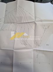 Αγροτεμάχια 40.000 τ.μ. πρός πώληση, Εβρος, Σαμοθράκη-thumb-2