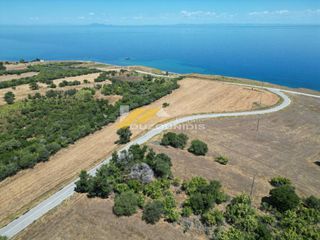 Αγροτεμάχια 40.000 τ.μ. για πώληση