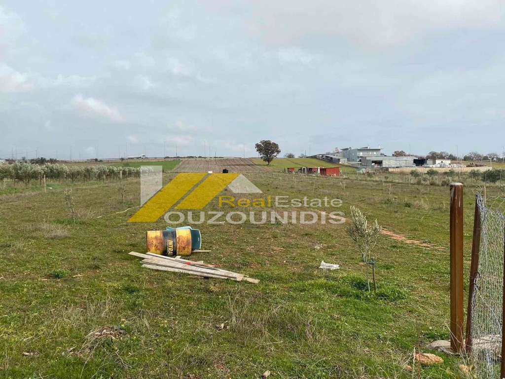 Αγροτεμάχια 6.600 τ.μ. πρός πώληση, Εβρος, Αλεξανδρούπολη