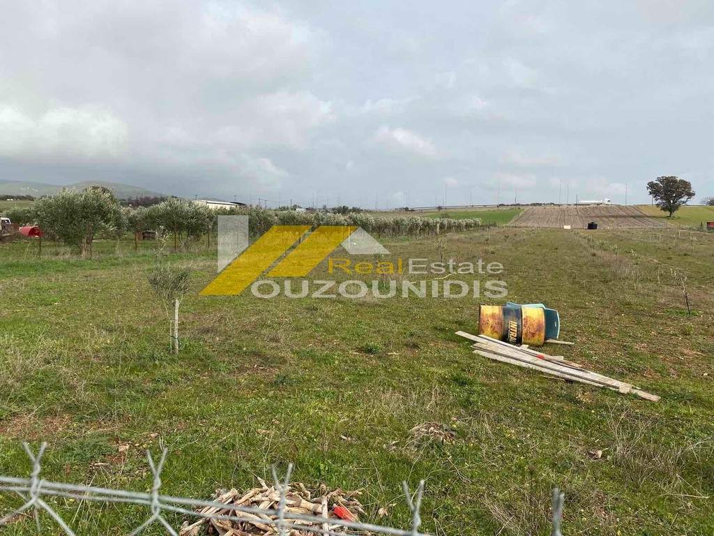 Αγροτεμάχια 6.600 τ.μ. πρός πώληση, Εβρος, Αλεξανδρούπολη