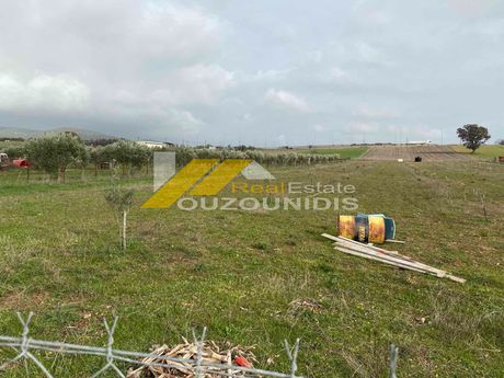 Parcel 6.600sqm for sale-Alexandroupoli » Palagia