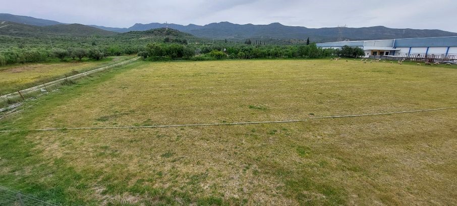Αγροτεμάχια 10.000 τ.μ. πρός πώληση, Αιτωλοακαρνανία, Ιερά Πόλη Μεσολογγίου