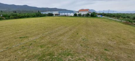 Parcel 10.000sqm for sale-Iera Poli Messologiou