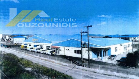 Parcel 10.000sqm for sale-Alexandroupoli » Apalos