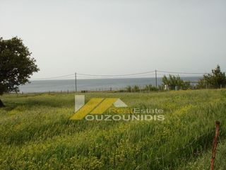 Αγροτεμάχια 1.000 τ.μ. πρός πώληση, Εβρος, Σαμοθράκη-thumb-3