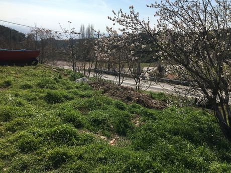 Land plot 1.150sqm for sale-Alexandroupoli » Makri