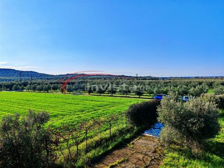 Μονοκατοικία 100τ.μ. για πώληση-Μουδανιά » Φλογητά