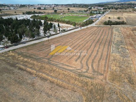 Parcel 9.000sqm for sale-Alexandroupoli » Center
