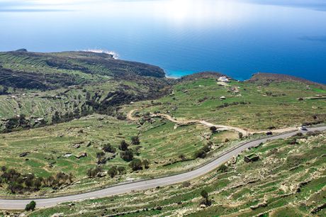 Αγροτεμάχια 7.700 τ.μ. για πώληση