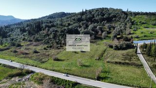 Οικόπεδο 5.000 τ.μ. προς πώληση, Εσπερίες-thumb-7
