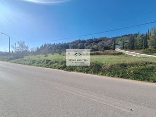 Οικόπεδο 5.000 τ.μ. προς πώληση, Εσπερίες-thumb-10