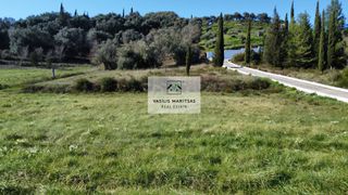 Οικόπεδο 5.000 τ.μ. προς πώληση, Εσπερίες-thumb-17