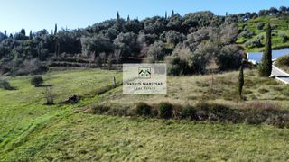 Οικόπεδο 5.000 τ.μ. προς πώληση, Εσπερίες-thumb-5