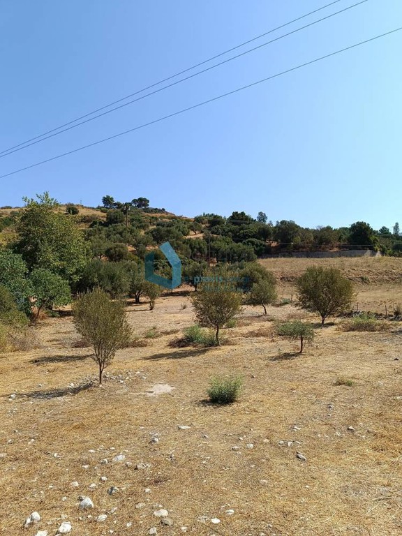 Αγροτεμάχια 1.500 τ.μ. προς πώληση, Μαγούλα Ρίου