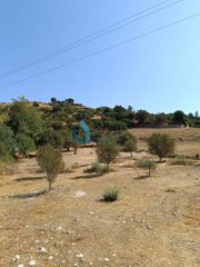 Αγροτεμάχια 1.500 τ.μ. για πώληση
