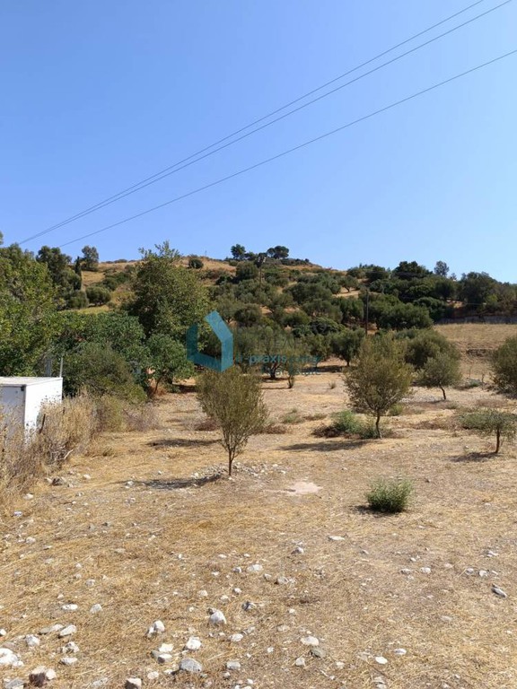 Αγροτεμάχια 1.500 τ.μ. προς πώληση, Μαγούλα Ρίου