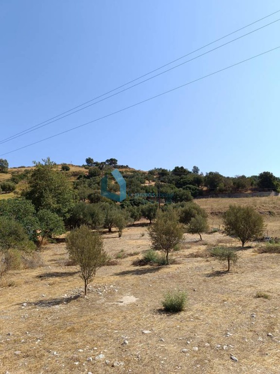 Αγροτεμάχια 1.500 τ.μ. προς πώληση, Μαγούλα Ρίου