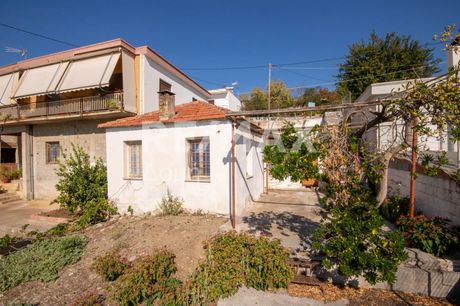 Detached home 31sqm for sale-Makrinitsa » Fitoko