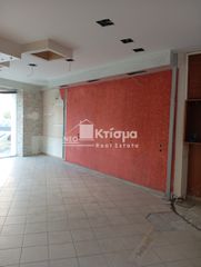 Κατάστημα 128 τ.μ. για ενοικίαση, Ν. Ηλείας, Πύργος-thumb-4