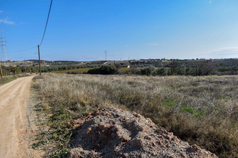 Αγροτεμάχια 10.000 τ.μ. προς πώληση, Νέα Χιλή