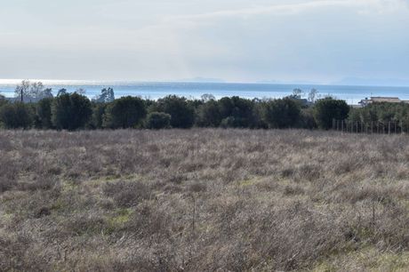 Parcel 10.000sqm for sale-Alexandroupoli » Nea Chili