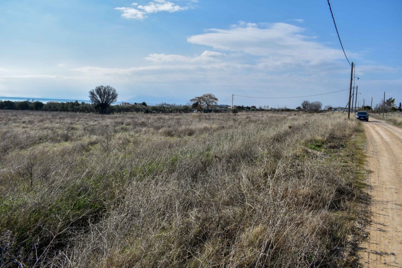 Αγροτεμάχια 10.000 τ.μ. προς πώληση, Νέα Χιλή