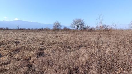 Αγροτεμάχια 3.450τ.μ. για πώληση-Μουζάκι » Λαζαρίνα