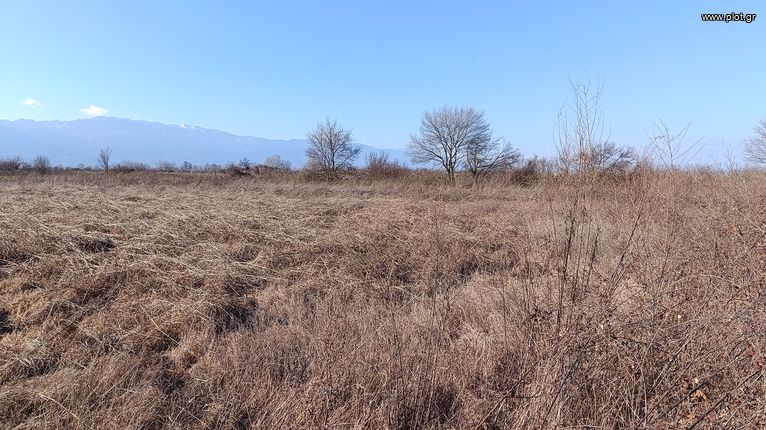 Αγροτεμάχια 3.450 τ.μ. για πώληση, Ν. Καρδίτσας, Μουζάκι