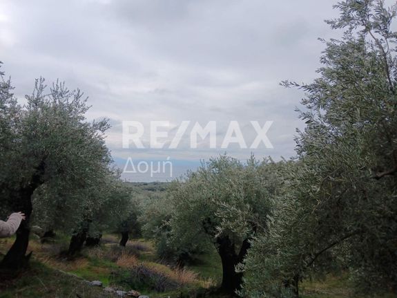 Οικόπεδο 2.000 τ.μ. για πώληση, Μαγνησία, Μηλιές