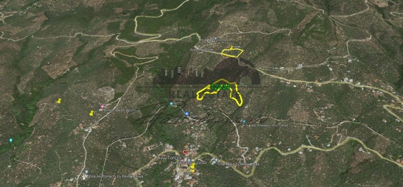 Αγροτεμάχια 12.434 τ.μ. πρός πώληση, Μαγνησία, Μηλιές
