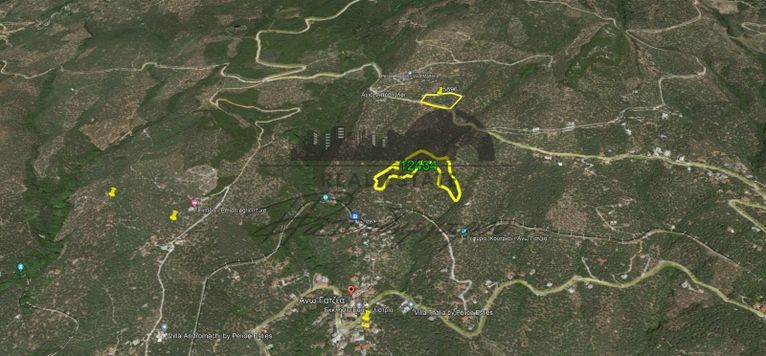 Αγροτεμάχια 12.434 τ.μ. για πώληση, Μαγνησία, Μηλιές