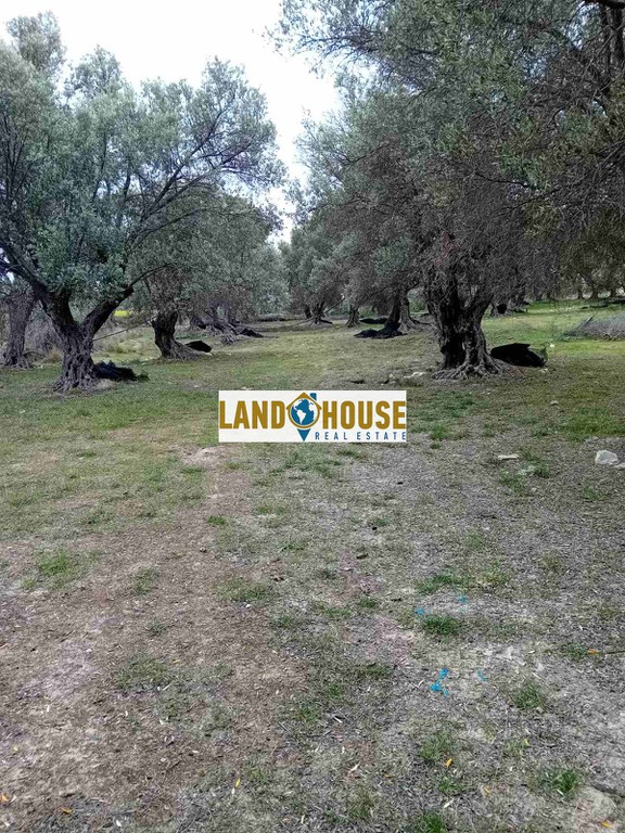 Αγροτεμάχια 24.300 τ.μ. προς πώληση, Ν. Ρεθύμνου, Αρκάδι