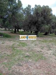 Αγροτεμάχια 24.300 τ.μ. για πώληση, Ν. Ρεθύμνου, Αρκάδι-thumb-6