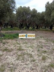Αγροτεμάχια 24.300 τ.μ. για πώληση, Ν. Ρεθύμνου, Αρκάδι-thumb-8