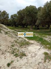 Αγροτεμάχια 24.300 τ.μ. για πώληση, Ν. Ρεθύμνου, Αρκάδι-thumb-10