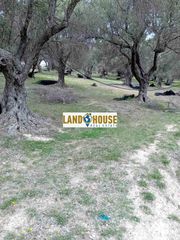 Αγροτεμάχια 24.300 τ.μ. για πώληση, Ν. Ρεθύμνου, Αρκάδι-thumb-5