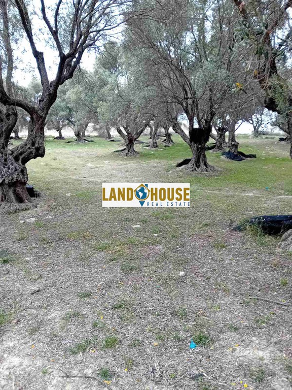 Αγροτεμάχια 24.300 τ.μ. προς πώληση, Ν. Ρεθύμνου, Αρκάδι