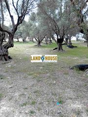 Αγροτεμάχια 24.300 τ.μ. για πώληση, Ν. Ρεθύμνου, Αρκάδι-thumb-3