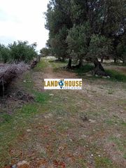 Αγροτεμάχια 24.300 τ.μ. για πώληση, Ν. Ρεθύμνου, Αρκάδι-thumb-7