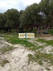 Αγροτεμάχια 24.300 τ.μ. για πώληση, Ν. Ρεθύμνου, Αρκάδι-thumb-9