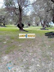 Αγροτεμάχια 24.300 τ.μ. για πώληση, Ν. Ρεθύμνου, Αρκάδι-thumb-4