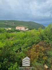 Οικόπεδο 3.550 τ.μ. για πώληση, Ζάκυνθος, Ελάτιο-thumb-17