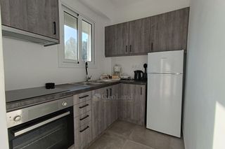 Studio / γκαρσονιέρα 48 τ.μ. για πώληση, Αργολίδα, Ερμιόνη-thumb-13
