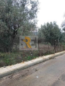 Οικόπεδο 309 τ.μ. για πώληση