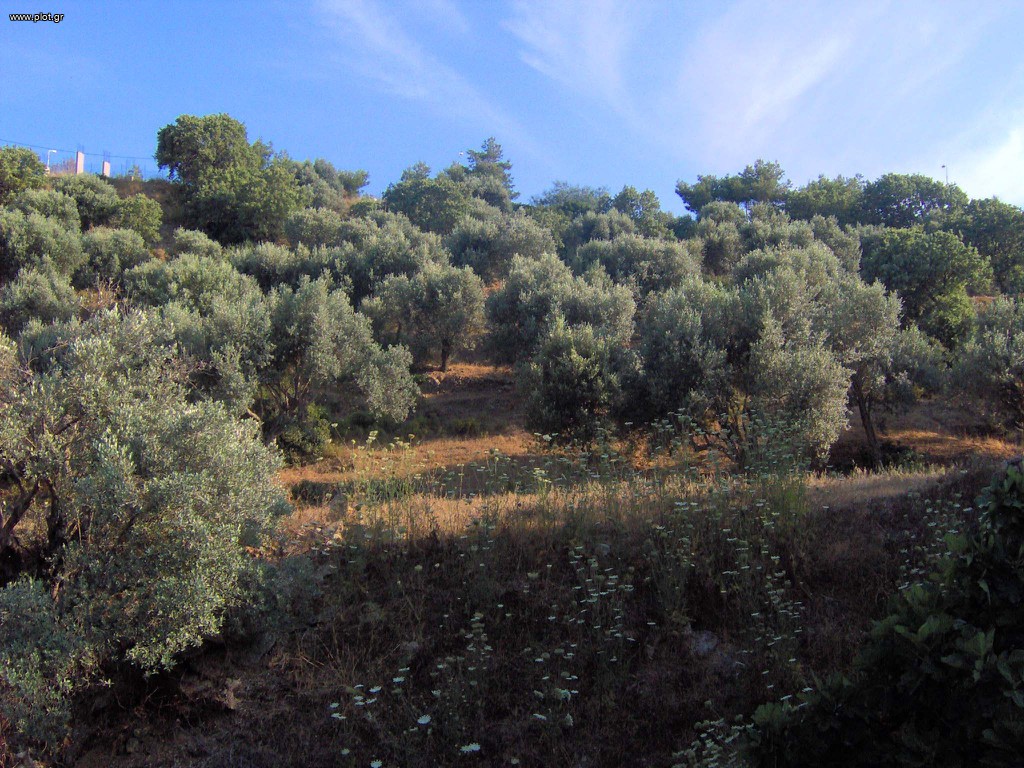 Οικόπεδο 4.184 τ.μ. πρός πώληση, Δωδεκάνησα, Λέρος