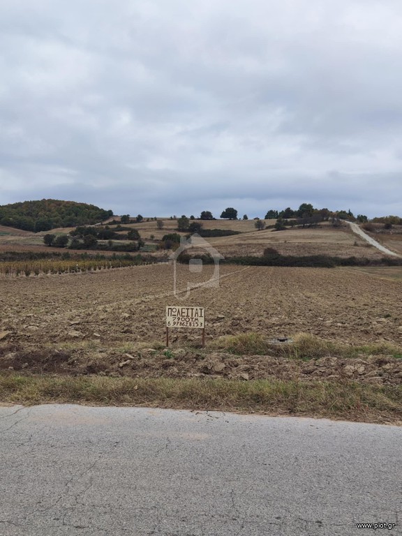 Αγροτεμάχια 7.900 τ.μ. πρός πώληση, Ν. Πιερίας, Κατερίνη